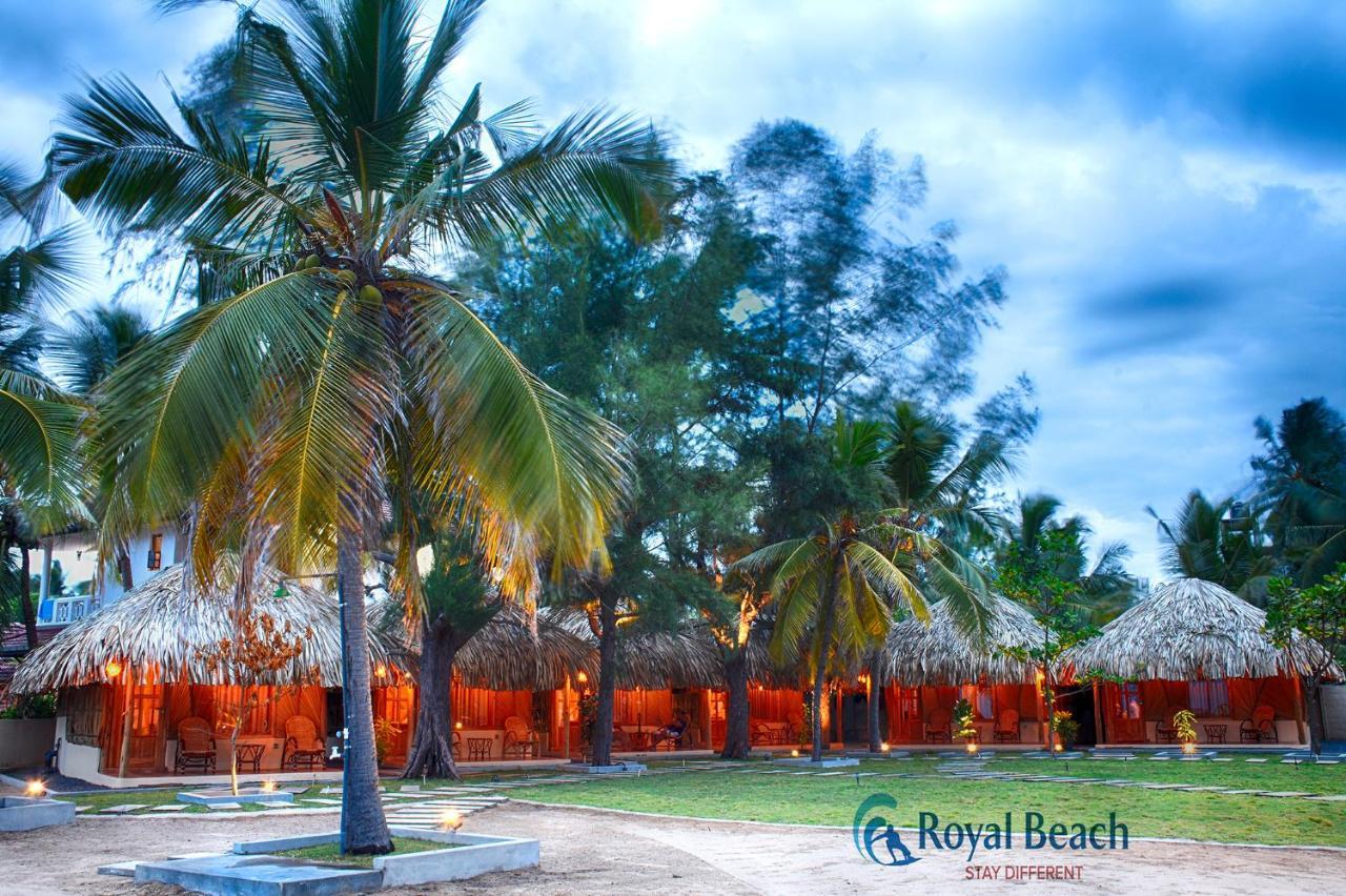 Royal Beach Arugam Bay Zewnętrze zdjęcie